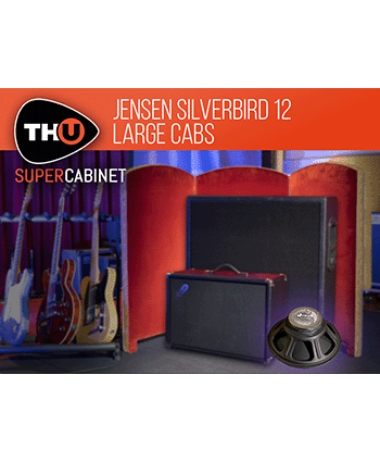 Jensen Silverbird 12 Large Cabs